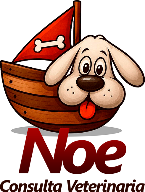 Logo for Noe Veterinary Clinic featuring a cheerful cream and tan dog with floppy ears and tongue out, sitting in a wooden pirate ship with a red sail bearing a white bone symbol. Below the ship is the text Noe in bold dark red letters, followed by Consulta Veterinaria in smaller brown text. The design has a playful, friendly tone conveyed through the dog's happy expression and whimsical pirate ship setting.